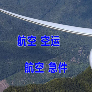 阆中古城航空货运快递-选东方航空和上海航空