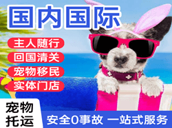 阆中古城航空货运国际宠物托运 【国